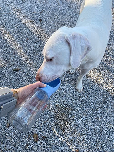 3 in 1 Dog Water Bottle