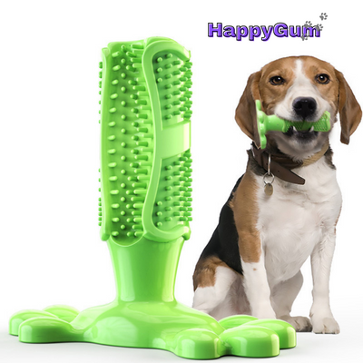 Happy Gum Dog Toy